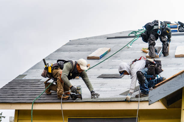 Professional Gutter Installation technician working in Lithia, FL